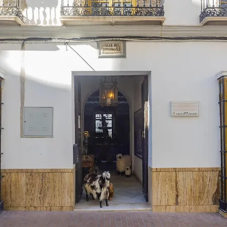 Cubo's Micaela Coín